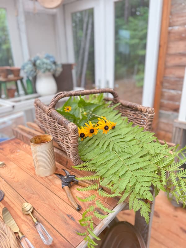 Gathered wild ferns for summer table centerpiece arrangement.