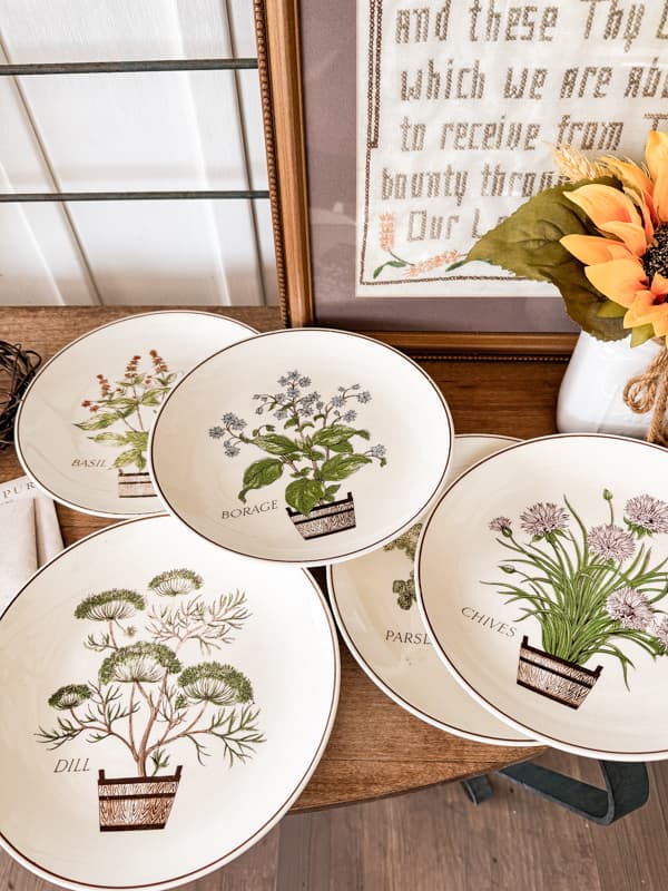 Botanical Vintage Dishes found at a thrift store for less than $4.00 for a set of 8.