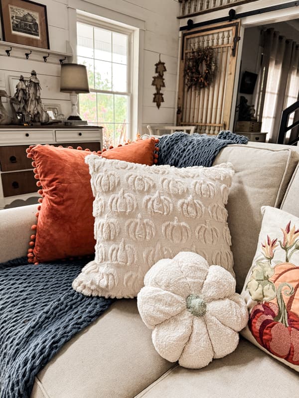 Fall Pillows on sofa.  