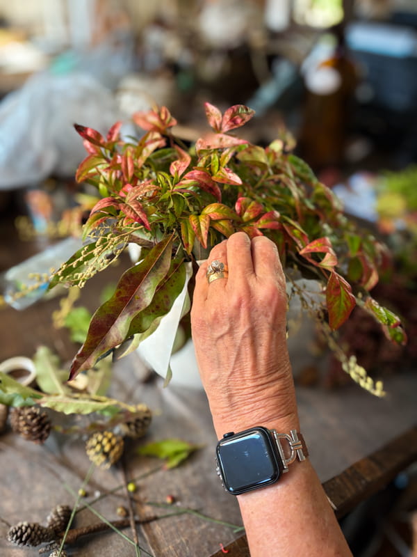 Add fall nandina stems to white ironstone pitcher for a fall floral arrangement