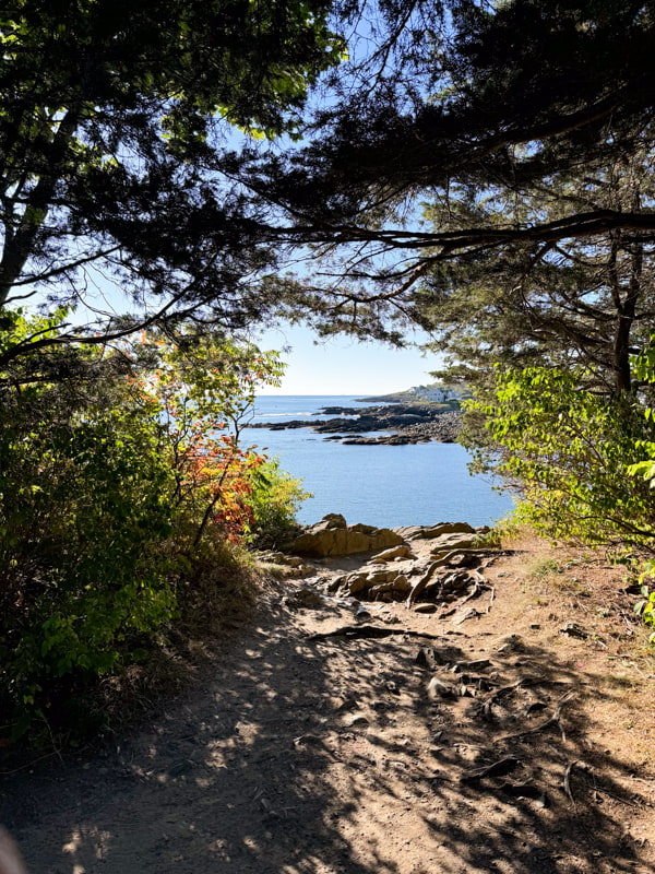 View of the coastline along the Marginal Way in Ogunquit Maine.  