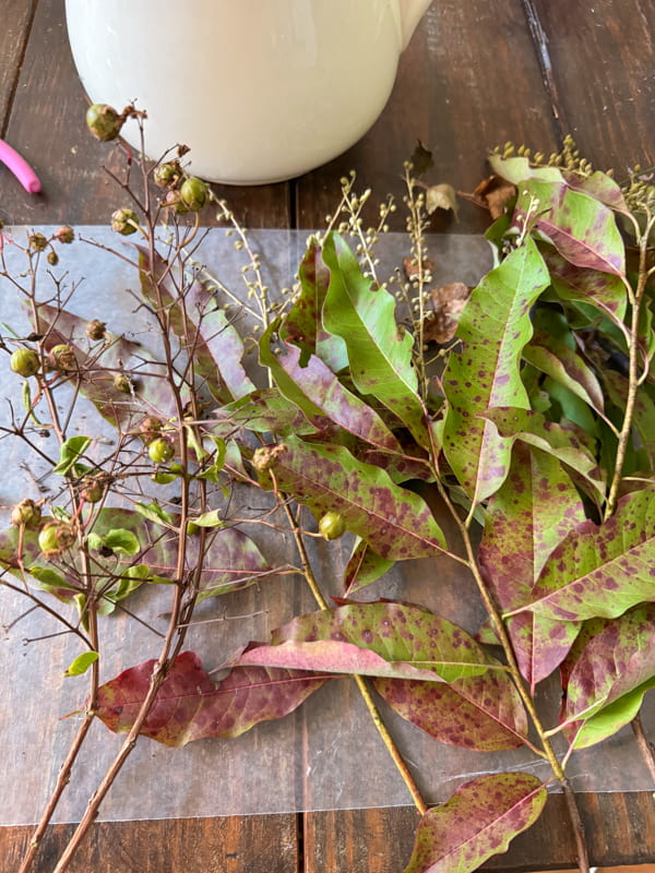 Foraged fall foliage and dried berries for Fall Flower Arrangement