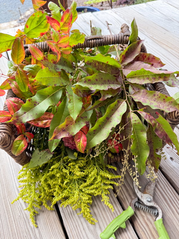 Gathered foraged materials in a basket