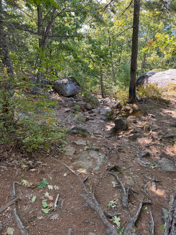 Mount Battle Trail in Camden Maine for our New England Adventure.  