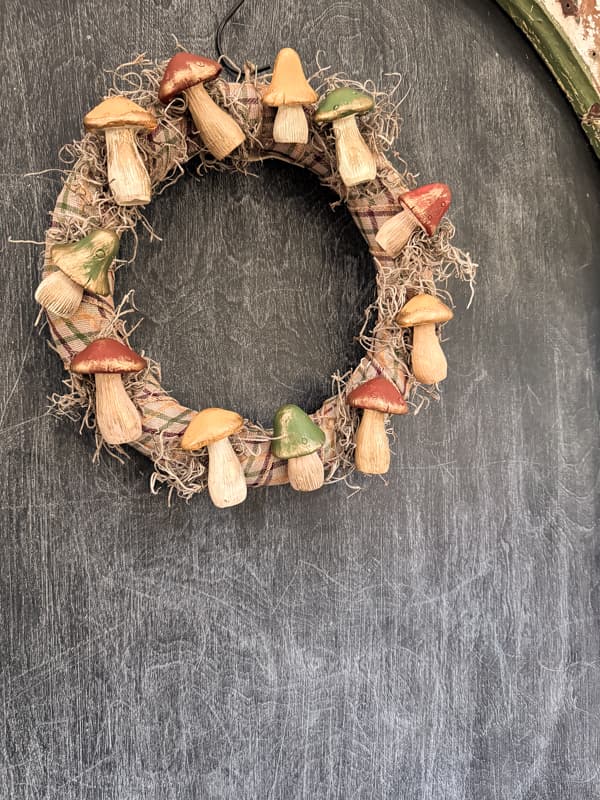 Mushroom wreath on pantry door made with Dollar Tree Fall Craft Supplies.