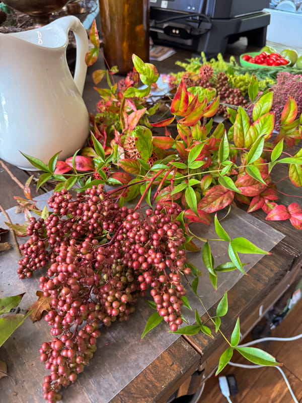 Nandina stems and berries to make a fall flower arrangement