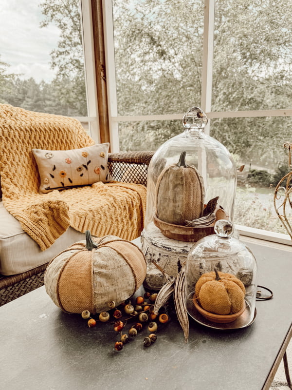 Coffee table with fabric pumpkins under glass cloches on screen porch decorated for Fall.  