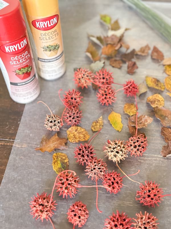 Spray paint foraged gum balls in fall colors 