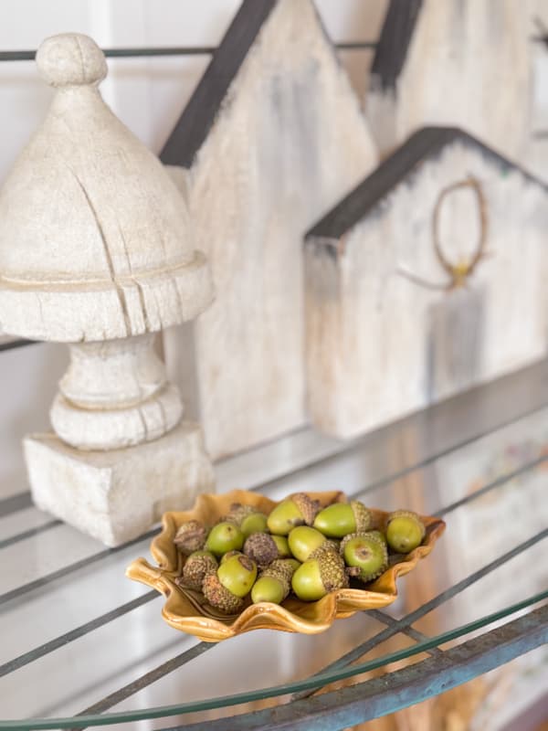 Foraging for acorns to fill bowls and containers for fall decorating