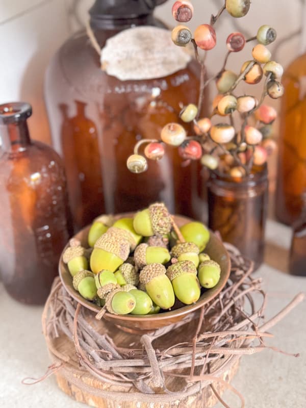 Foraging for acorns to fill bowls and containers for fall decorating.  