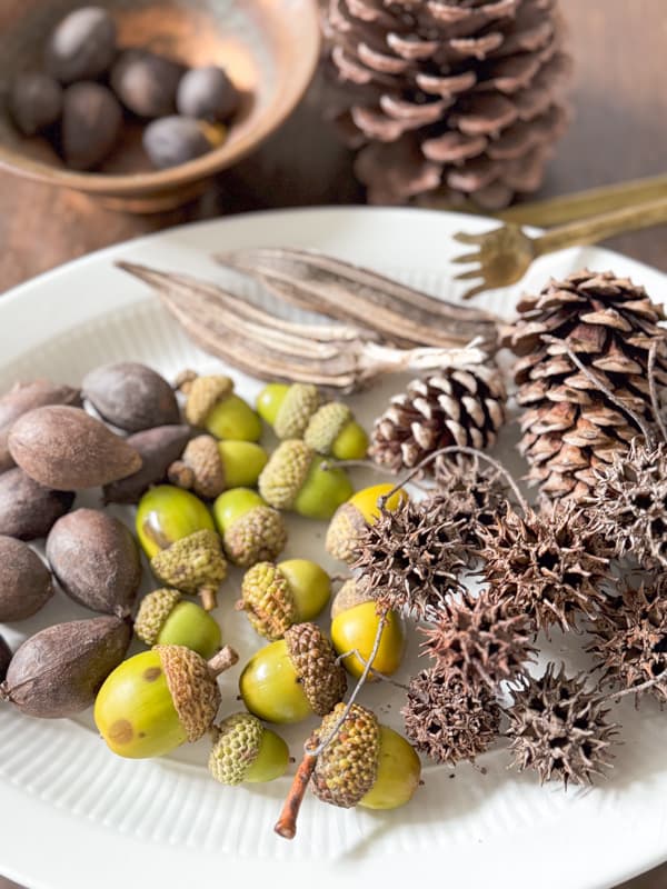 Foraged materials for fall and Christmas decorating. 