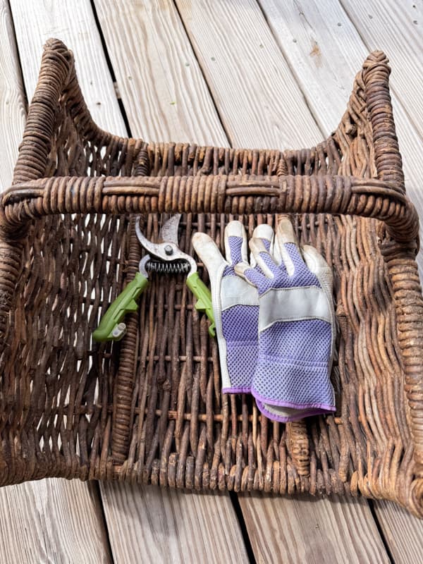 Basket clippers and gloves that will be used to forage pinecones, acorns and more.