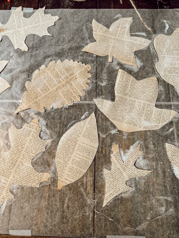 Paint the leaves with mod podge and allow to dry.