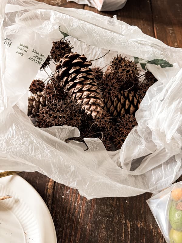 Foraged pinecones frozen in grocery bag