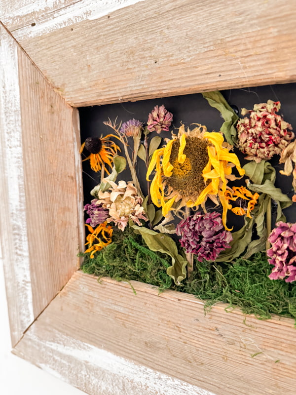 Dried Flowers in Frames with black background inside a DIY reclaimed shiplap frame.