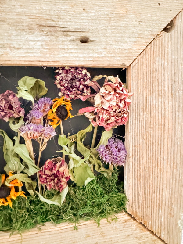 Dried Flowers in Frames with black background inside a DIY reclaimed shiplap frame.  