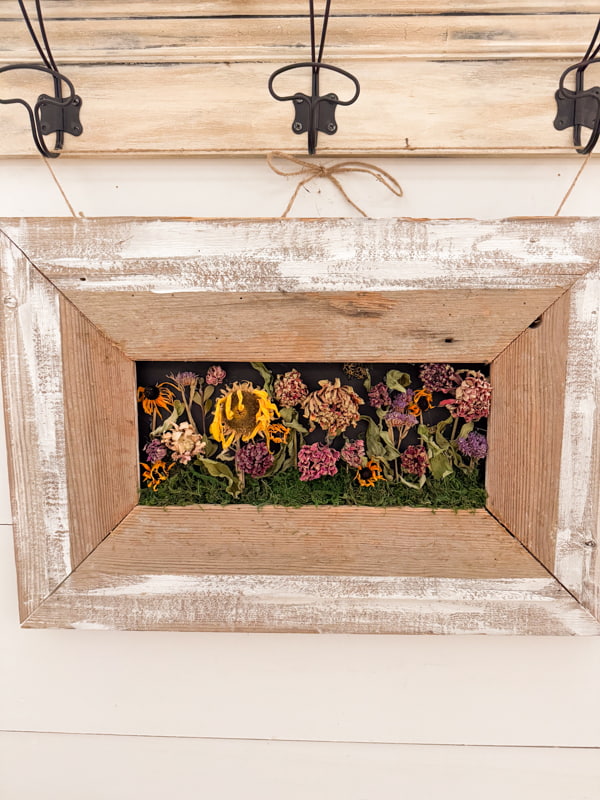 Dried Flowers in Frames with black background inside a DIY reclaimed shiplap frame. 