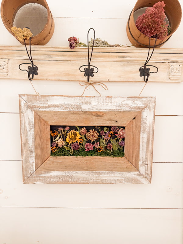 Dried Flowers Wall Art hanging on a wall rack with shiplap walls.  