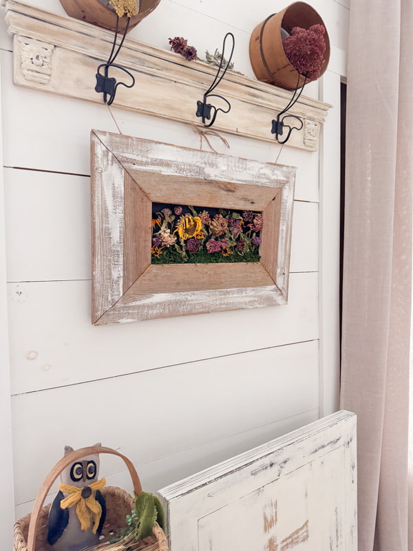 Framed Dried Flowers in a DIY reclaimed shiplap frame hanging on a drying rack with more dried flowers.  