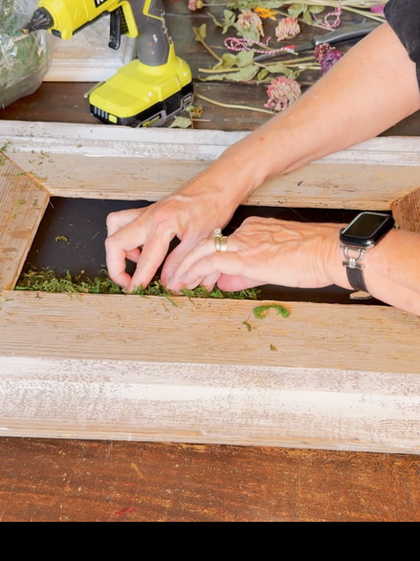 Adding moss to a DIY reclaimed wood frame with black background.  