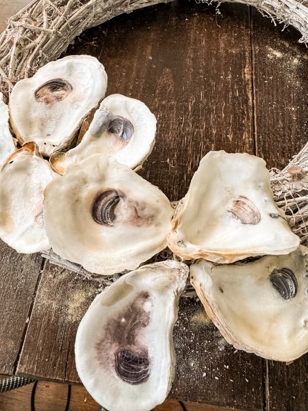 Add oyster shells to make a DIY Coastal Christmas Wreath