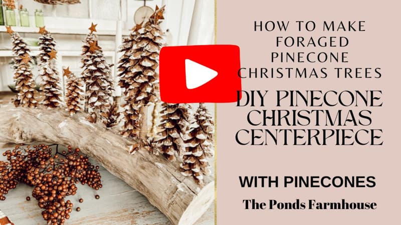 Video for DIY Pinecone Christmas Centerpiece