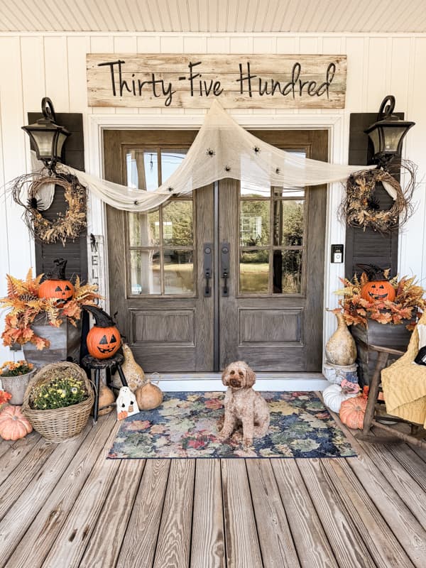 Rudy with Halloween porch decorations. 