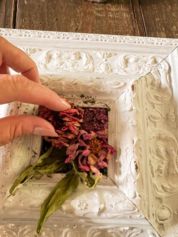 Adding dried flowers to a thrift store frame for DIY dried flower art.  