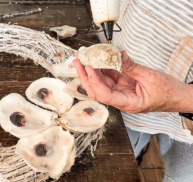 Add hot glue to back of oyster shell