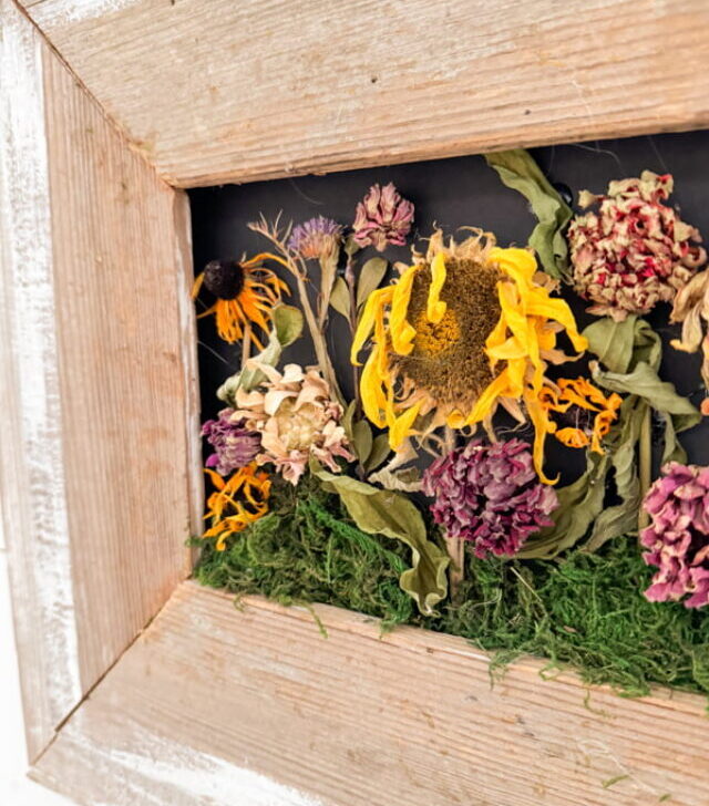 cropped-Dried-Flowers-In-Frames-1.jpg