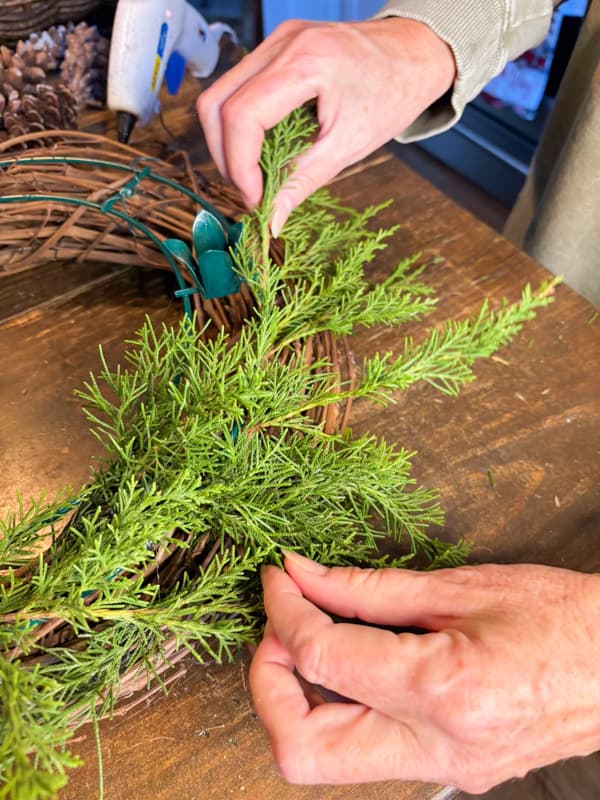 Surround advent wreath with real cedar greenery.