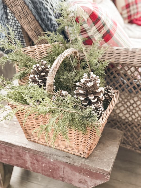 Vintage basket with fresh cedar and frosted pinecones.