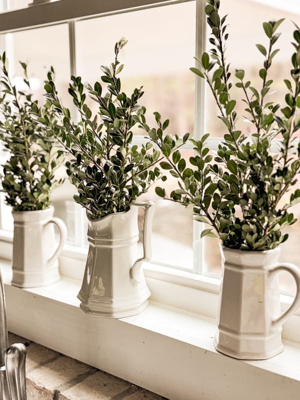 Evergreen boxwood clippings in vintage ironstone pitchers on kitchen window seal.  