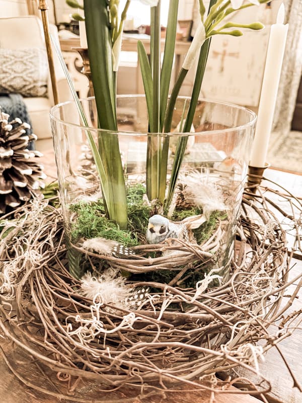 paperwhite and moss filled container for coffee table accent with grapevine around the container.